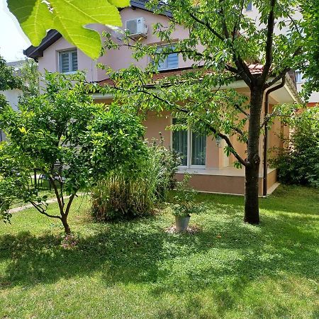 Villa Tamara With Garden And River View - Free Private Parking - Garage Mostar Ngoại thất bức ảnh